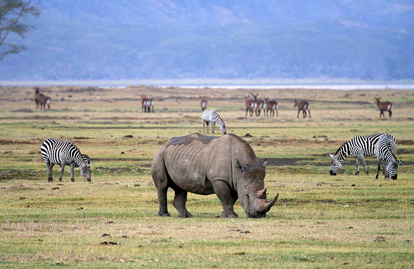 Activities-in-Ngorongoro-Conservation-Areas